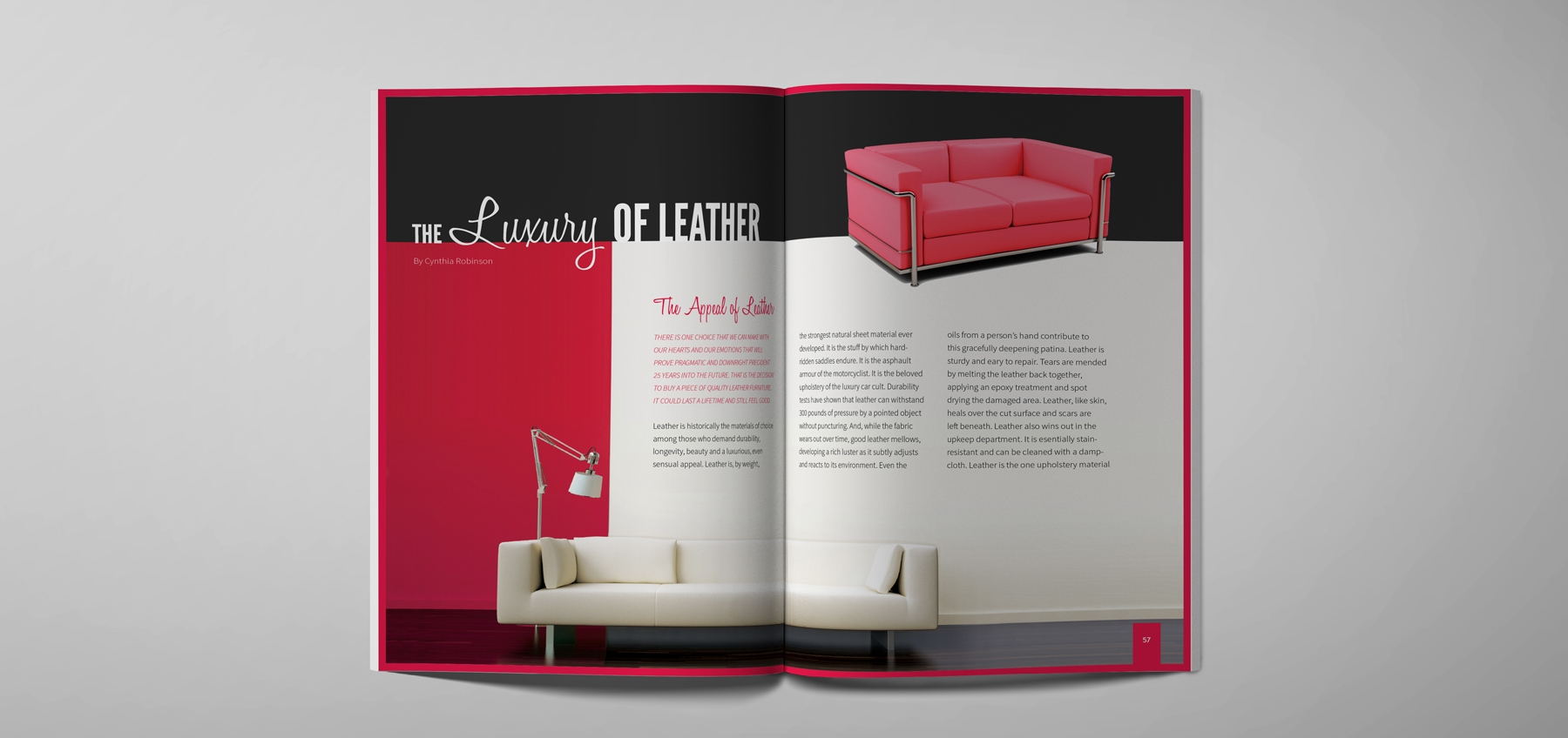 Homes and Living Magazine leather article