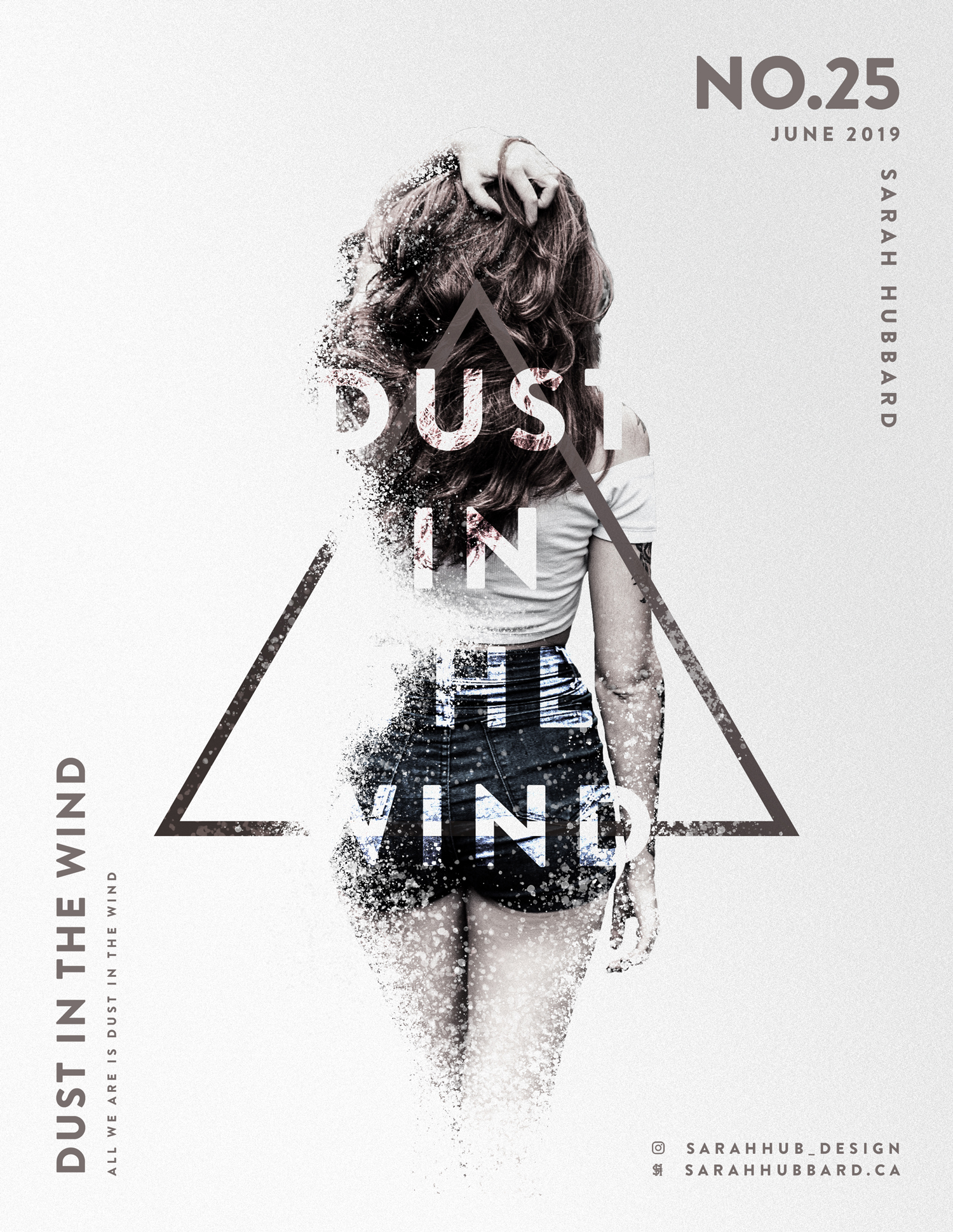 Dust In The Wind Poster