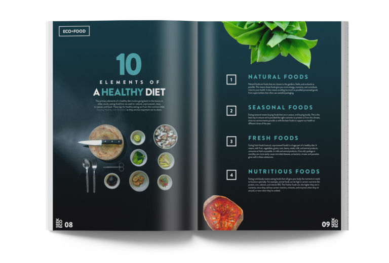 Seek Eco An EcoFriendly Magazine Concept